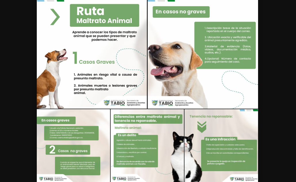 Compromiso con el |bienestar animal| en |Tabio|