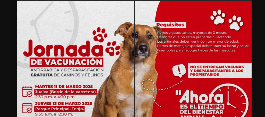 Jornada gratuita de |vacunación y desparasitación| para |mascotas|