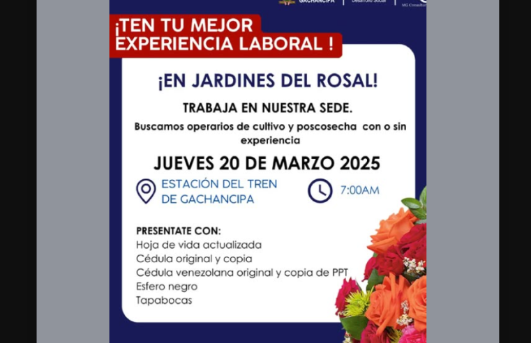 |Convocatoria laboral| en |Gachancipá| para operarios de cultivo y poscosecha