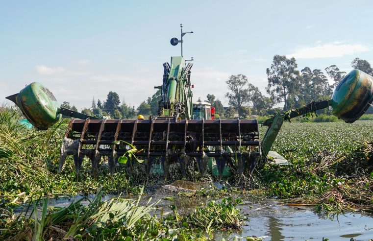 Avances en la recuperación del |humedal Gualí| – Tres Esquinas en |Funza|
