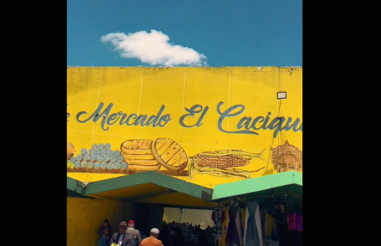 Gran éxito del lanzamiento del |Fish Festival 2025| en |Chía| + Video