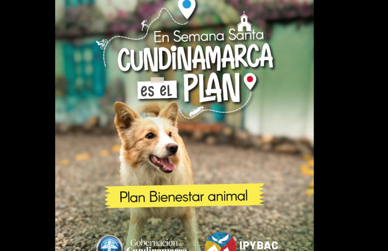 El bienestar de los |animales de compañía| también es parte del plan en |Semana Santa|