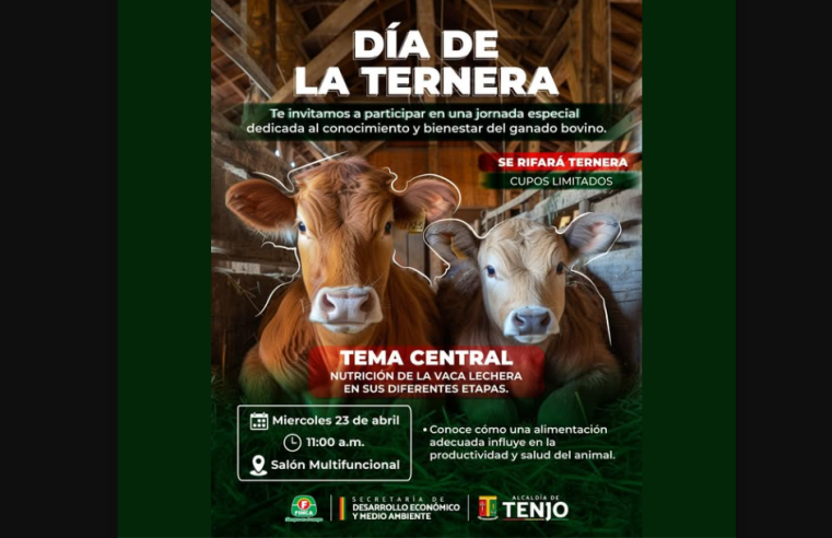 Celebración del Día de la Ternera incluirá |jornada educativa| sobre nutrición bovina en |Gachancipá|