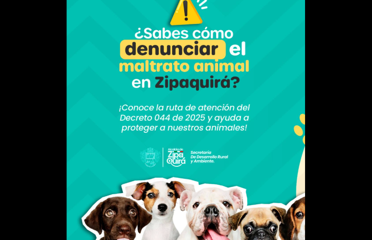 |Zipaquirá| activa la Ruta de Atención al |Maltrato Animal|