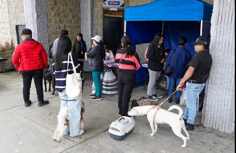 |Sopó| avanza en bienestar animal con jornada de esterilización que benefició a 84 |mascotas|