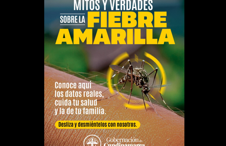 |Cundinamarca| refuerza la educación sobre la |fiebre amarilla| y su prevención