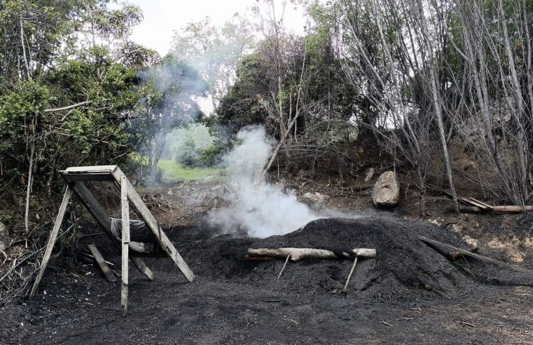 Operativo en Sutatausa detiene |producción ilegal de carbón vegetal| en |zona protegida|