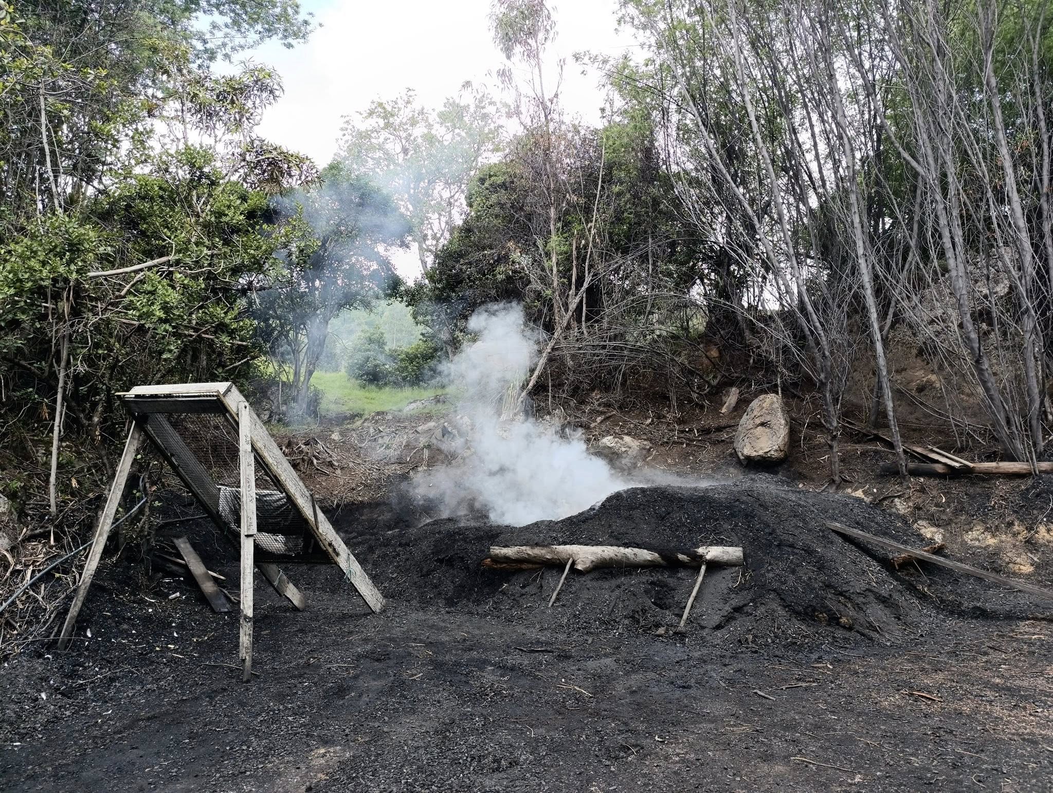 Operativo en Sutatausa detiene |producción ilegal de carbón vegetal| en |zona protegida|