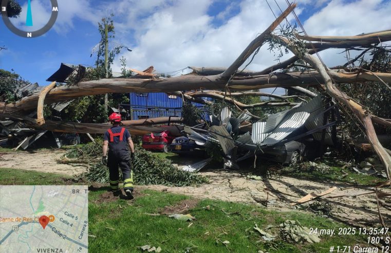 Bomberos de |Chía| atendieron |caída de árbol| en predio privado sin afectaciones humanas
