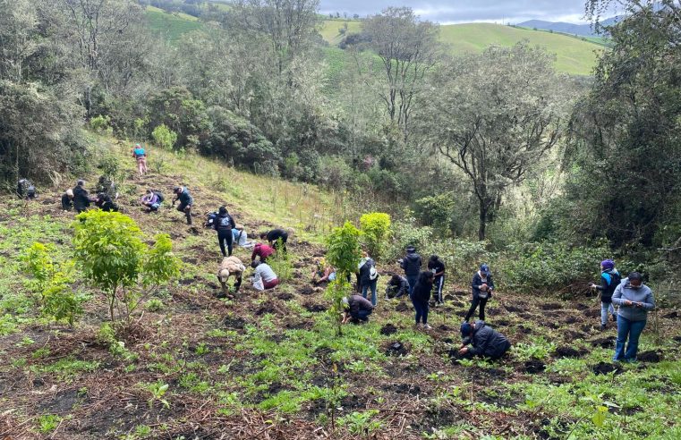 |Cogua| conmemora el |Día de la Diversidad Biológica| con jornada de siembra comunitaria