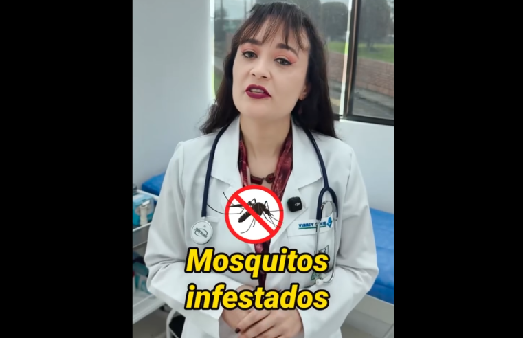 Todo lo que debes saber sobre la |fiebre amarilla|: prevención y cuidados + Video