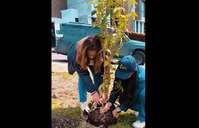 |Reforestación| comunitaria transforma el barrio Salinas con más de |500 árboles nativos| + Video