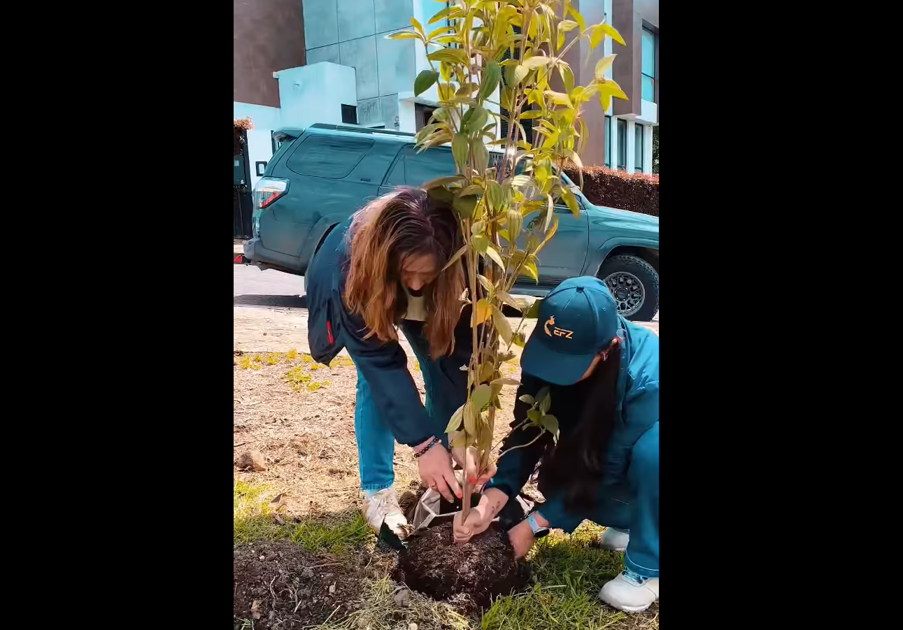 |Reforestación| comunitaria transforma el barrio Salinas con más de |500 árboles nativos| + Video