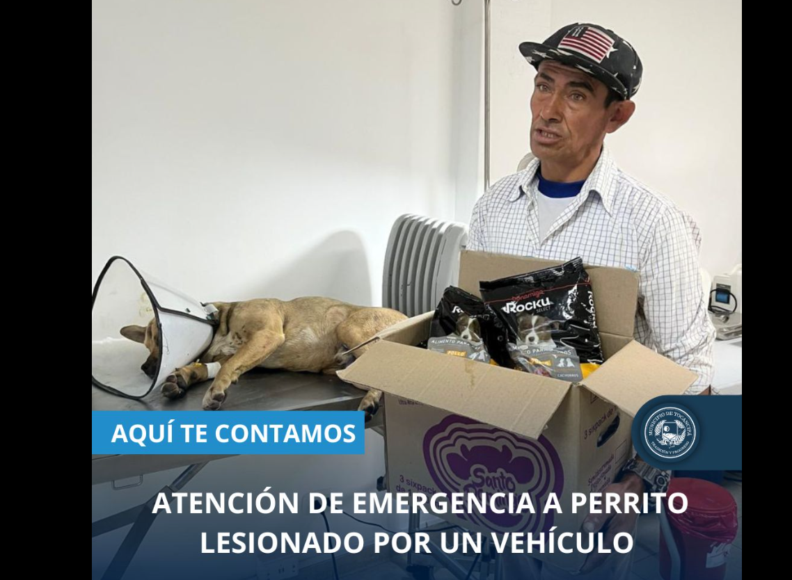 Atención oportuna salva la vida de cachorro herido en |Tocancipá|