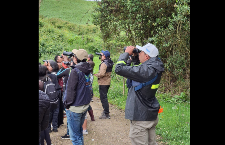 |Cundinamarca| destaca en el |Global Big Day 2025| con 590 especies de aves registradas