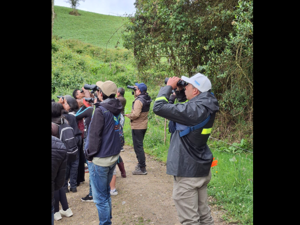 |Cundinamarca| destaca en el |Global Big Day 2025| con 590 especies de aves registradas