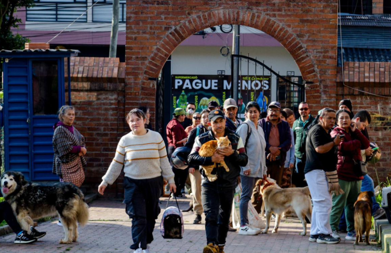 Cien animales fueron |esterilizados| gratuitamente en jornada interinstitucional en |Tenjo|