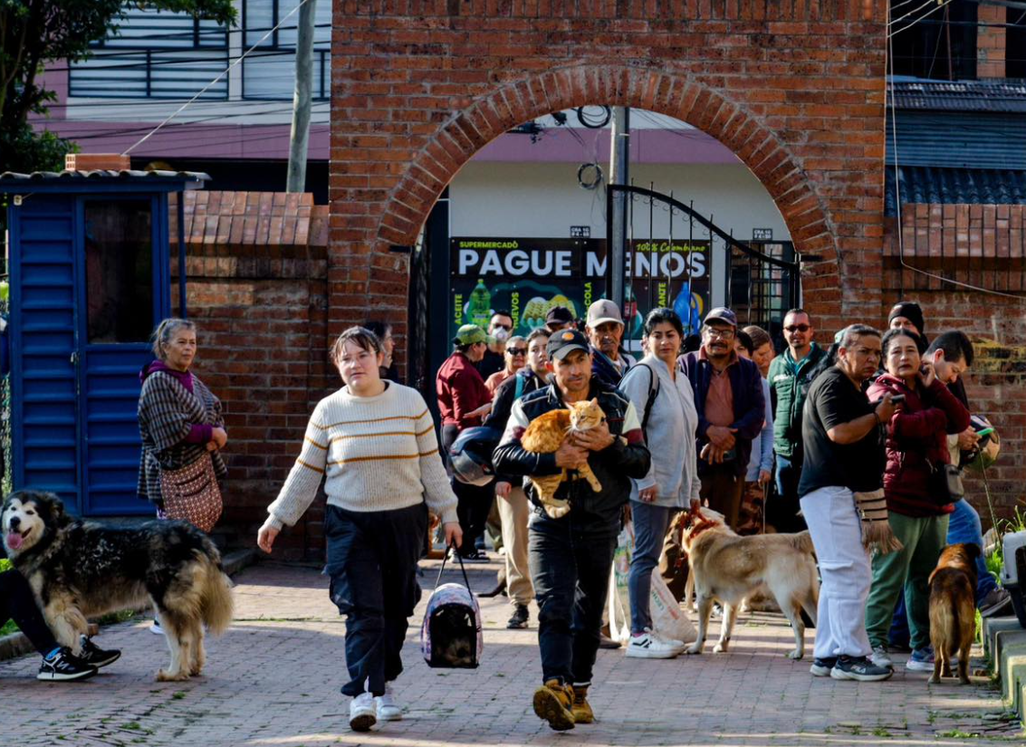 Cien animales fueron |esterilizados| gratuitamente en jornada interinstitucional en |Tenjo|
