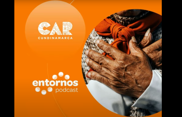 Nuevos episodios disponibles de los podcasts |CAR| + Video
