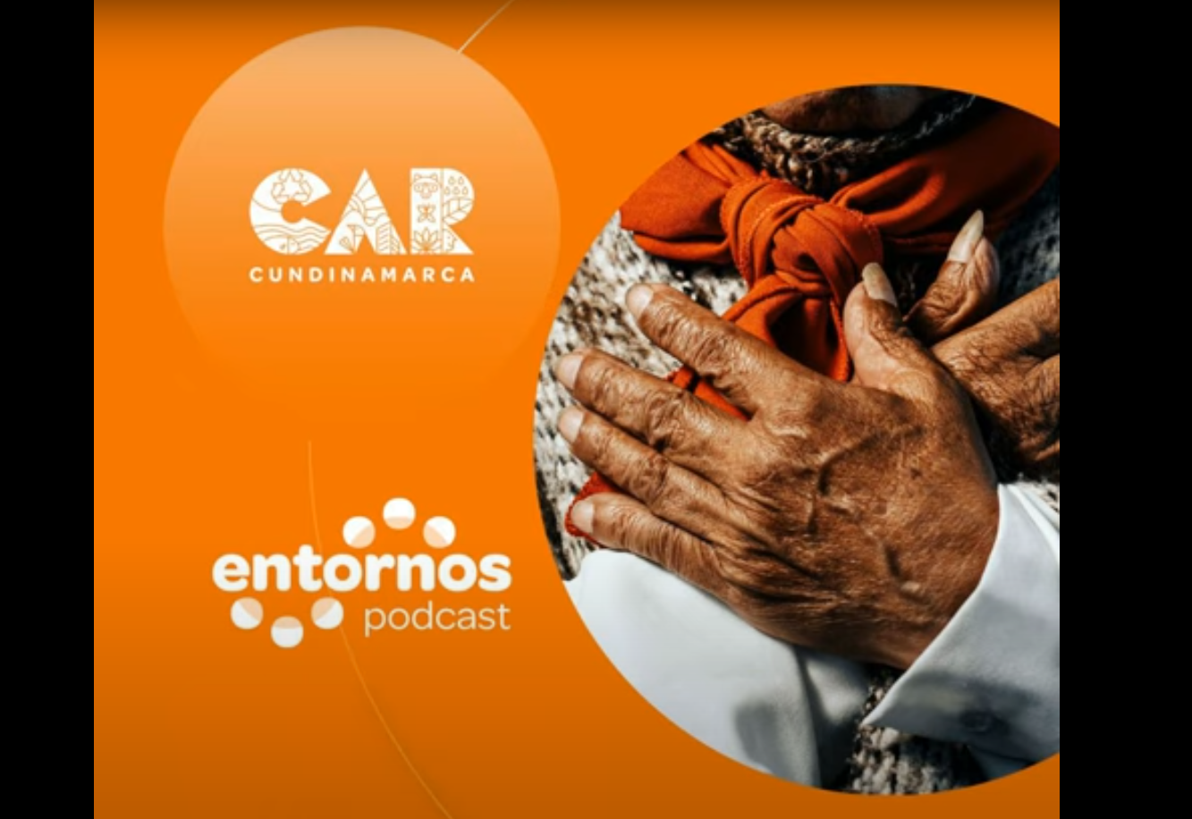 Nuevos episodios disponibles de los podcasts |CAR| + Video