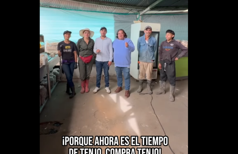 |Tenjo| impulsa el consumo local con la estrategia ‘Tenjo compra Tenjo’ + Video