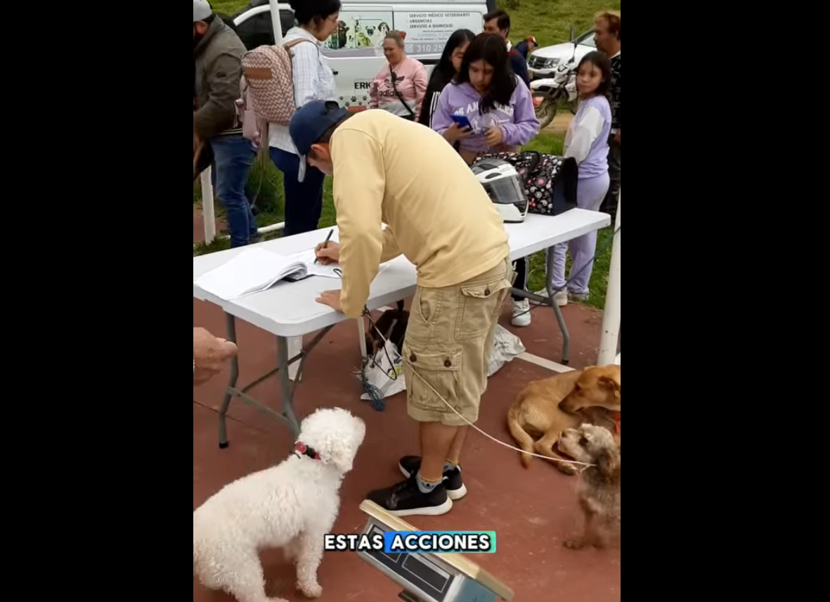 |Nemocón| refuerza su compromiso con el |bienestar animal| con jornada de esterilización en veredas + Video