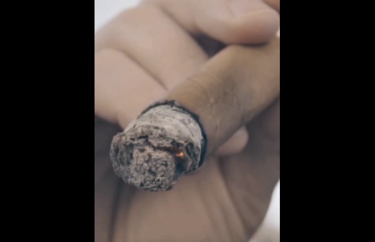 |Chía| promueve la conciencia juvenil en el |Día Mundial Sin Tabaco| + Video