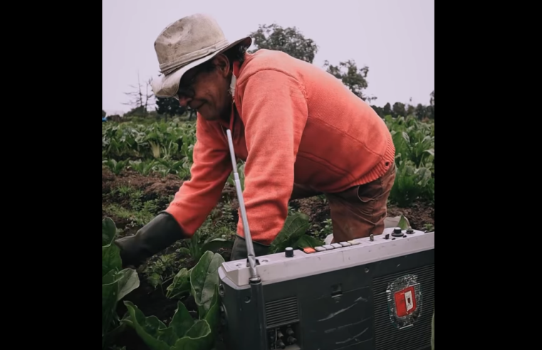 |Cundinamarca| celebra el |Día del Campesino| destacando su liderazgo rural + Video