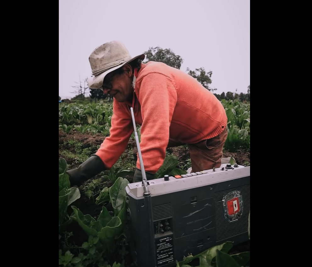 |Cundinamarca| celebra el |Día del Campesino| destacando su liderazgo rural + Video