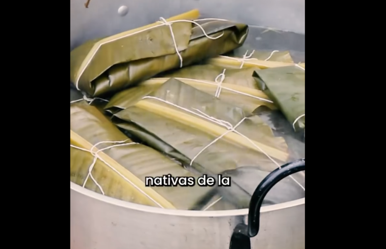 |Tamal de calabaza|: una joya ancestral que resalta el sabor y el patrimonio de |Cajicá| + Video