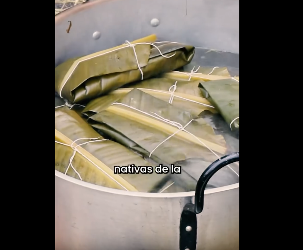 |Tamal de calabaza|: una joya ancestral que resalta el sabor y el patrimonio de |Cajicá| + Video