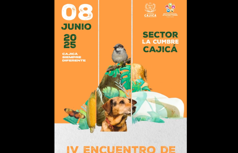 Recomendaciones para disfrutar el |IV Encuentro de Sabores y Saberes de La Cumbre| + Video