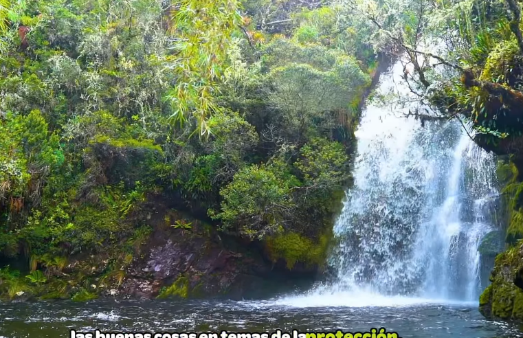 Abren inscripciones para los |Premios Ambientales| |CAR| 2025: reconocimiento a defensores del territorio + Video