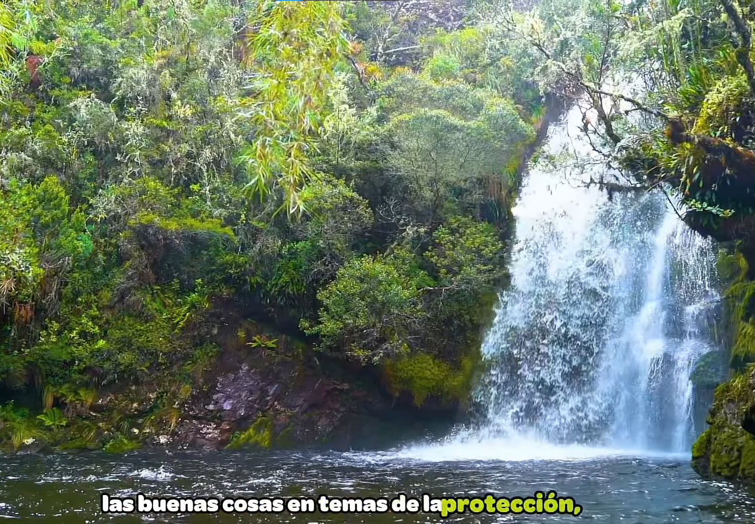 Abren inscripciones para los |Premios Ambientales| |CAR| 2025: reconocimiento a defensores del territorio + Video