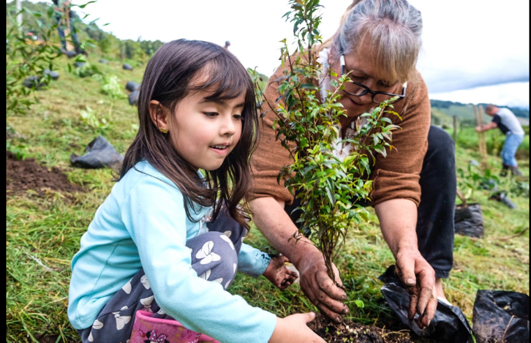 |Sopó| avanza con su |Semana de la Sostenibilidad| con jornada de reforestación en la Finca El Portete