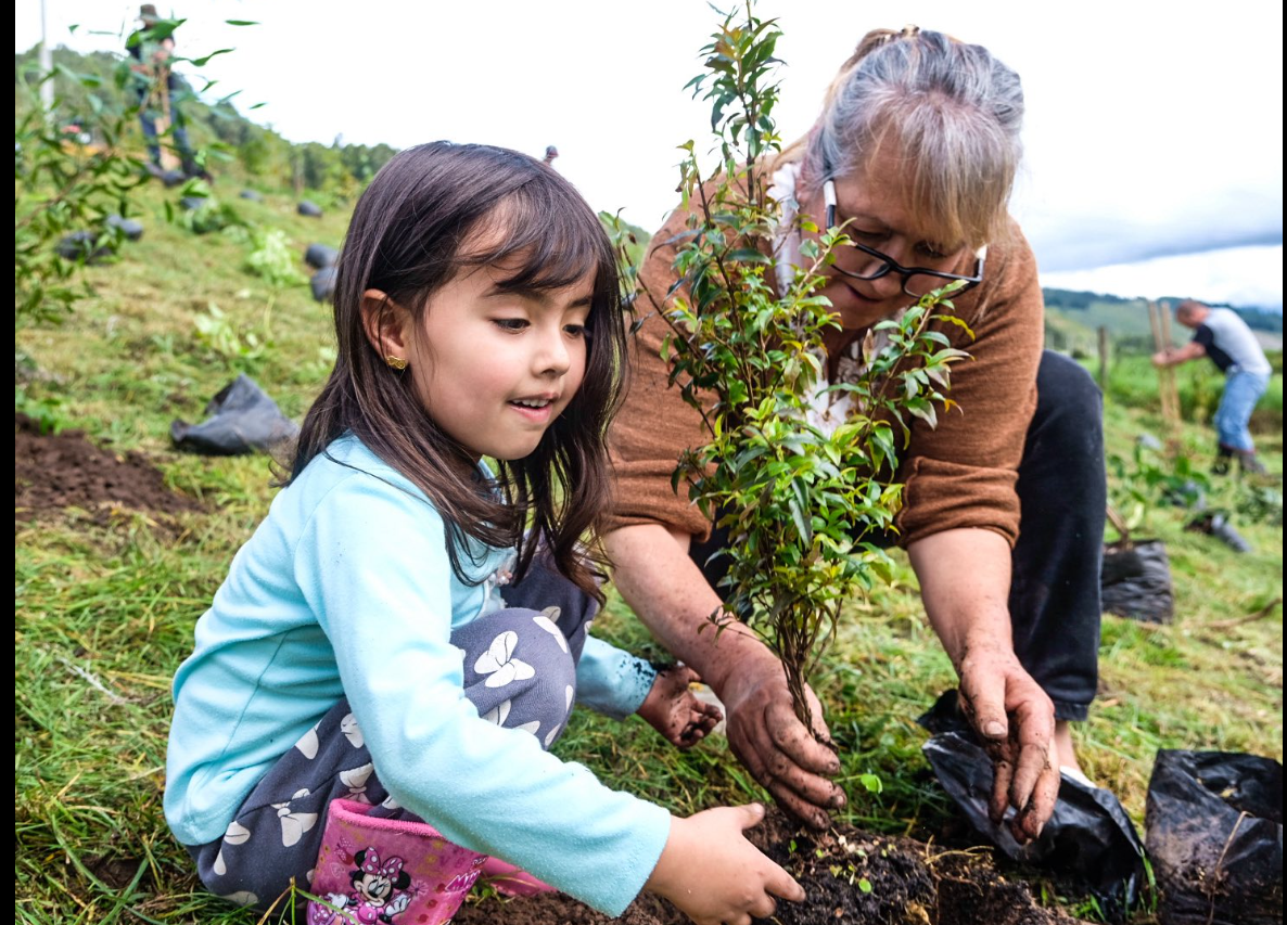 |Sopó| avanza con su |Semana de la Sostenibilidad| con jornada de reforestación en la Finca El Portete