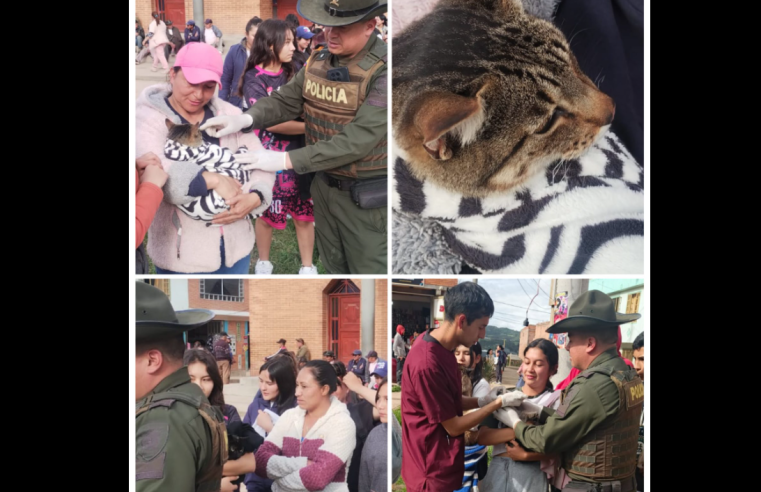 |Nemocón| fortalece el |bienestar animal| con jornada en la vereda Patio Bonito