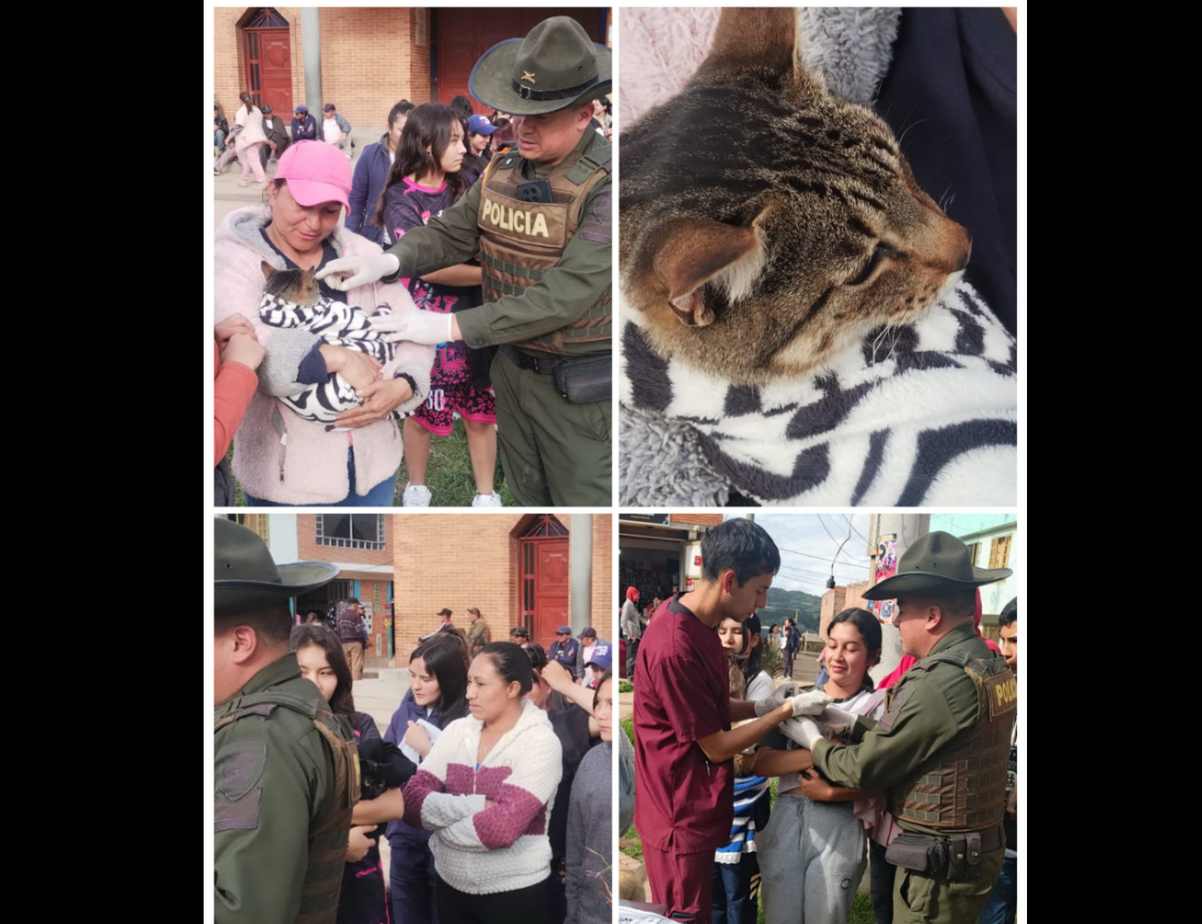 |Nemocón| fortalece el |bienestar animal| con jornada en la vereda Patio Bonito