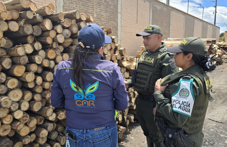 |CAR| intensifica operativos contra el |tráfico ilegal| de flora y fauna en |Sabana Occidente|