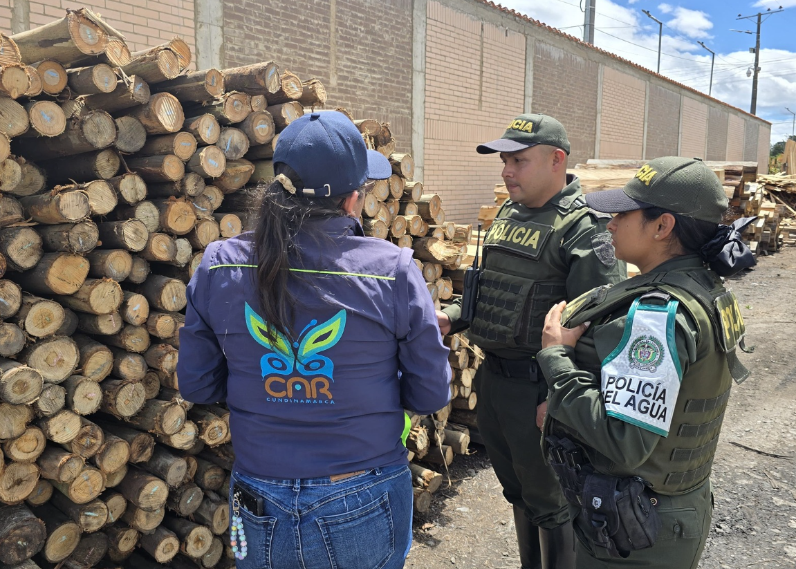 |CAR| intensifica operativos contra el |tráfico ilegal| de flora y fauna en |Sabana Occidente|