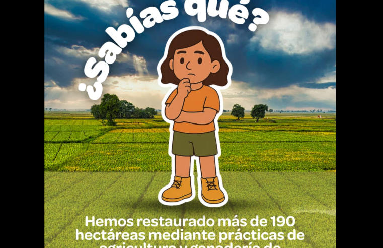 En el |Día Mundial del Suelo|, se promueve la recuperación y el |uso sostenible| de la |tierra fértil|