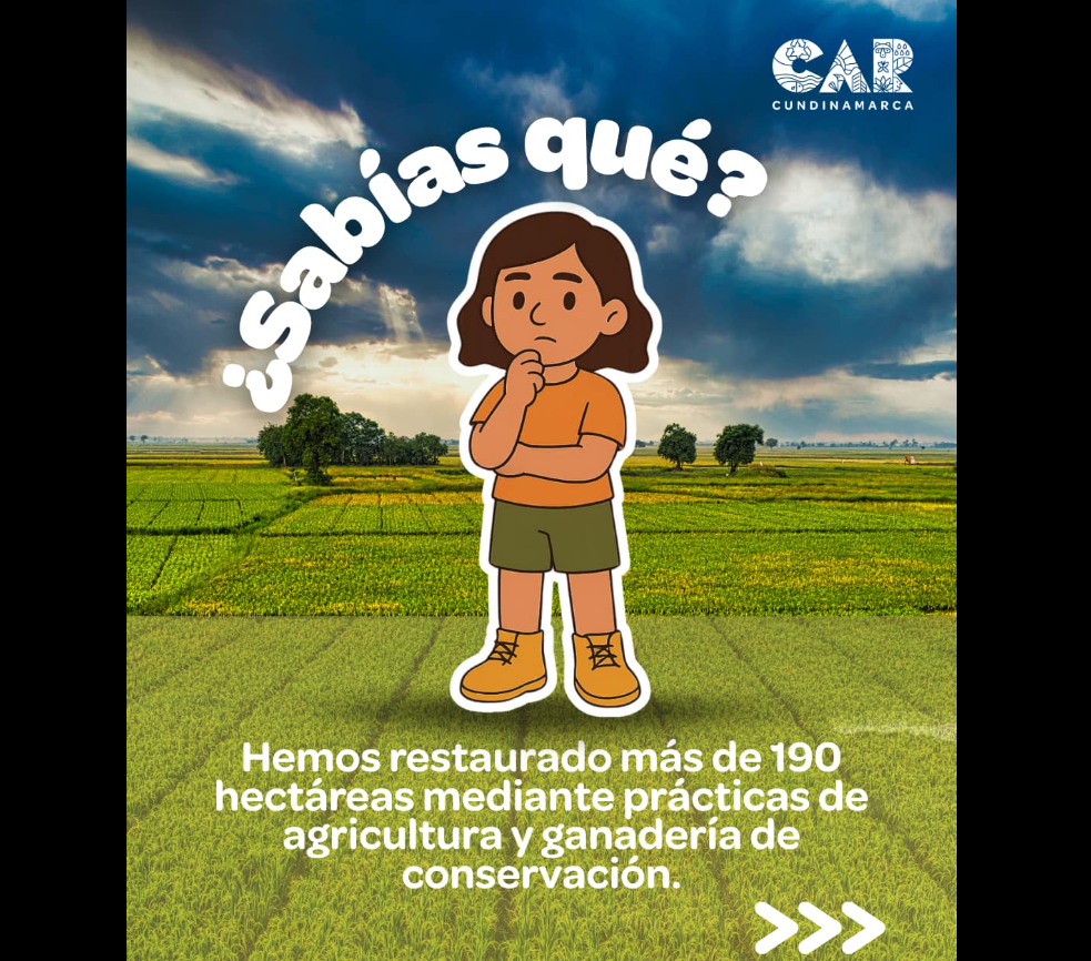 En el |Día Mundial del Suelo|, se promueve la recuperación y el |uso sostenible| de la |tierra fértil|