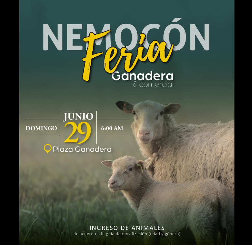 |Nemocón| celebrará su Feria Comercial, Ganadera, Bovina y Ovina este 29 de junio