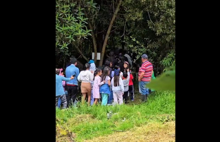 |Caminata ecológica| marcó el cierre de las |Vacaciones Recreativas| y Culturales en |Nemocón| + Video