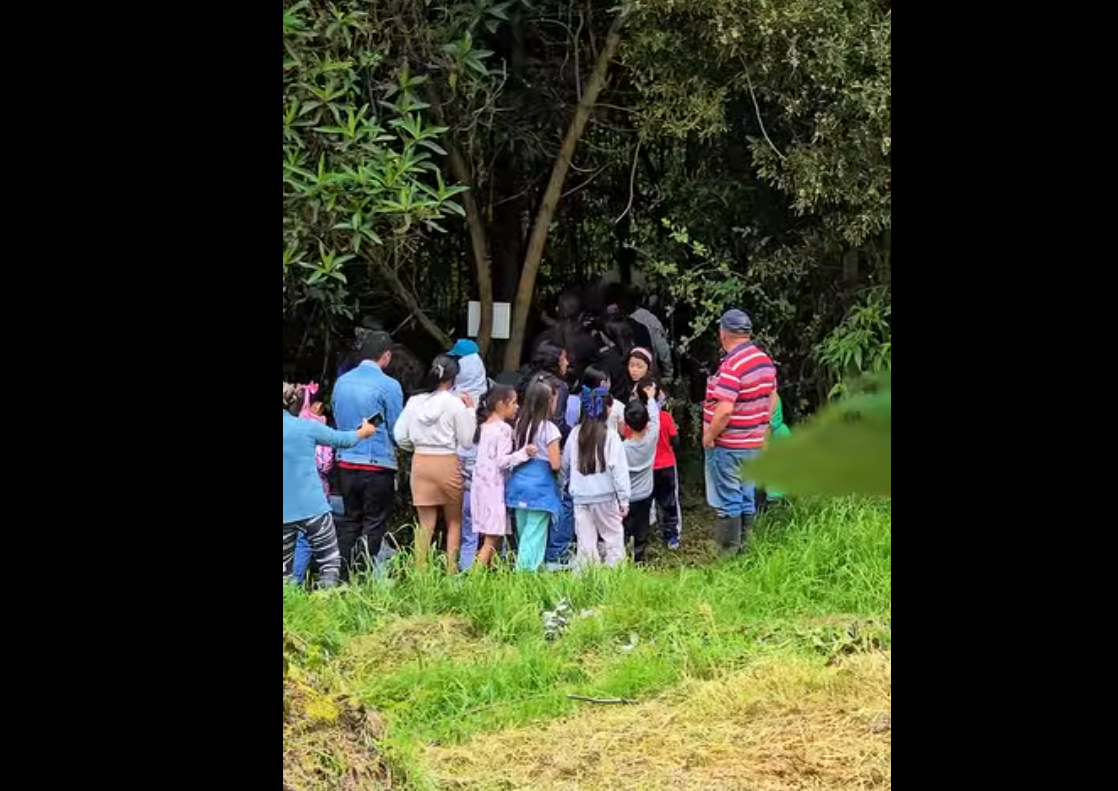 |Caminata ecológica| marcó el cierre de las |Vacaciones Recreativas| y Culturales en |Nemocón| + Video