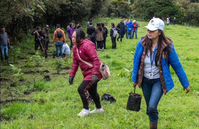 Más de 900 |árboles| sembrados en jornada ambiental en la |Reserva Pionono| de |Sopó|