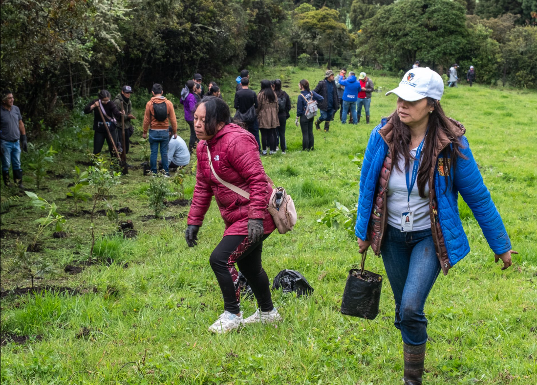 Más de 900 |árboles| sembrados en jornada ambiental en la |Reserva Pionono| de |Sopó|