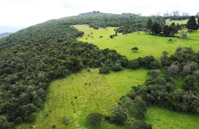 |Chía| avanza en la protección del agua con la adquisición de 34 predios estratégicos
