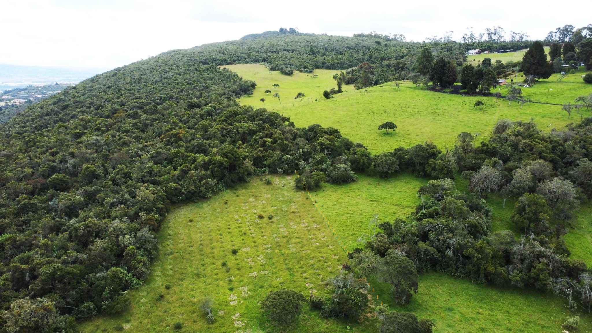 |Chía| avanza en la protección del agua con la adquisición de 34 predios estratégicos