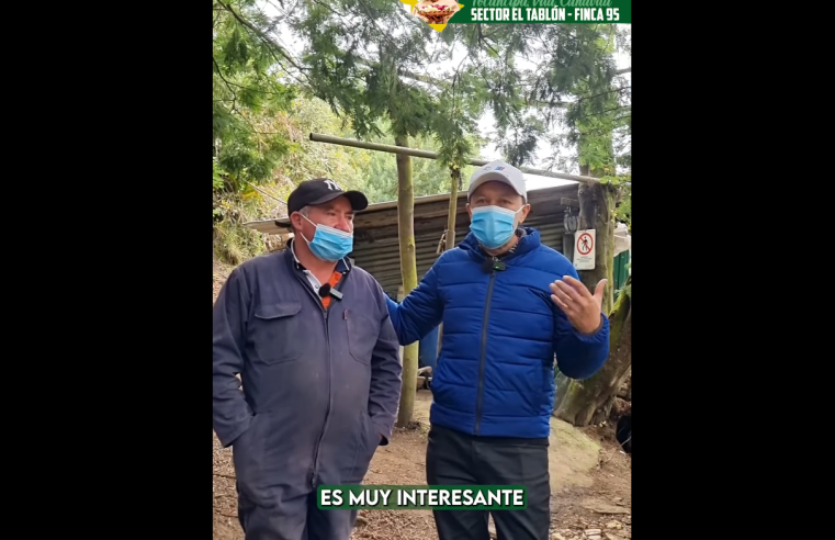 |Tocancipá| continúa celebrando el |Día del Campesino| con reconocimiento al trabajo rural + Video